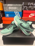Nike Kobe 4 Protro “Girl Dad”